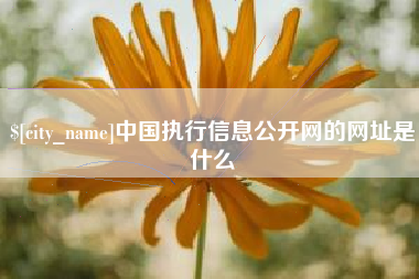 孝昌中国执行信息公开网的网址是什么