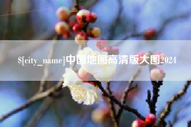 孝昌中国地图高清版大图2024