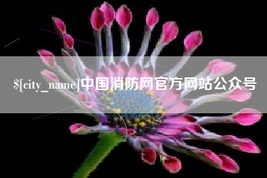 孝昌中国消防网官方网站公众号
