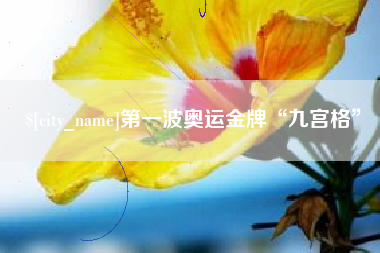 孝昌第一波奥运金牌“九宫格”