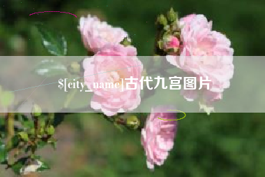 孝昌古代九宫图片