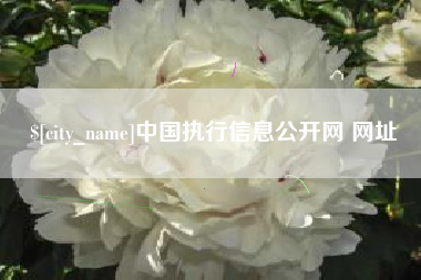 孝昌中国执行信息公开网 网址