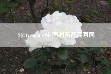孝昌中国消防产品官网