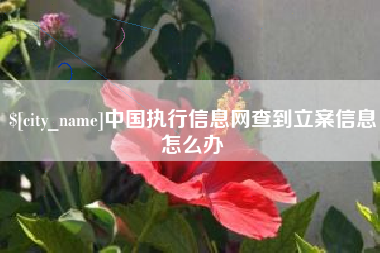 孝昌中国执行信息网查到立案信息怎么办