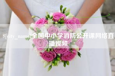 孝昌全国中小学消防公开课网络直播视频