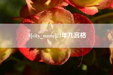 孝昌21年九宫格