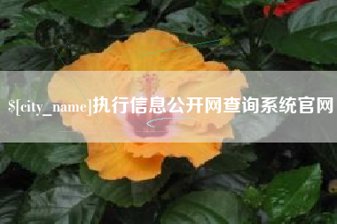 孝昌执行信息公开网查询系统官网