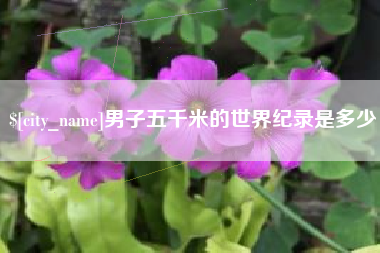 孝昌男子五千米的世界纪录是多少