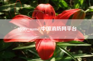 孝昌中国消防网平台