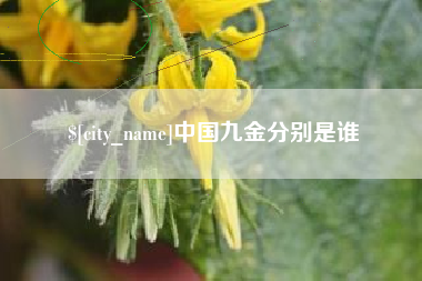 孝昌中国九金分别是谁