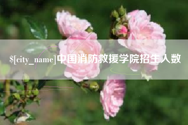 孝昌中国消防救援学院招生人数