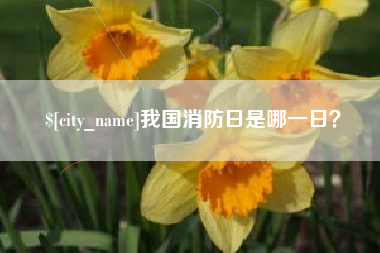 孝昌我国消防日是哪一日？