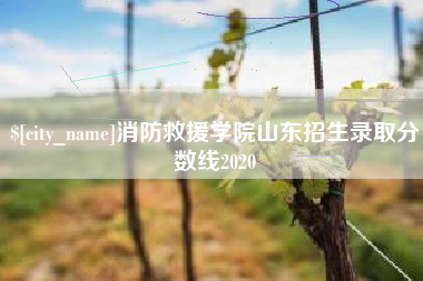 孝昌消防救援学院山东招生录取分数线2020