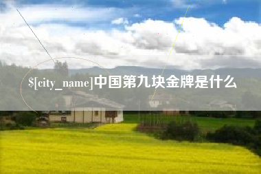 孝昌中国第九块金牌是什么