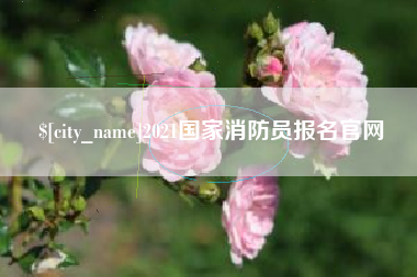 孝昌2021国家消防员报名官网