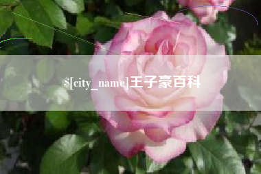 孝昌王子豪百科