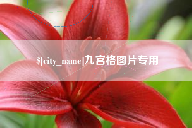 孝昌九宫格图片专用