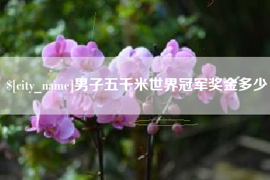 孝昌男子五千米世界冠军奖金多少