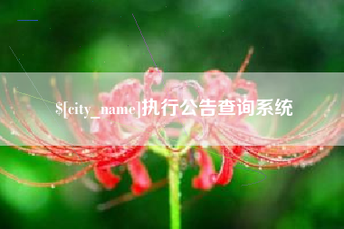 孝昌执行公告查询系统