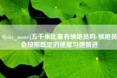 孝昌五千米比赛有领跑员吗-领跑员会按照既定的速度匀速前进