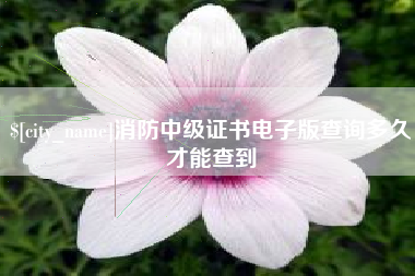 孝昌消防中级证书电子版查询多久才能查到