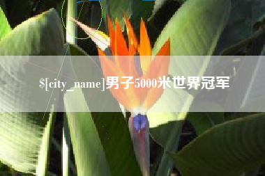 孝昌男子5000米世界冠军