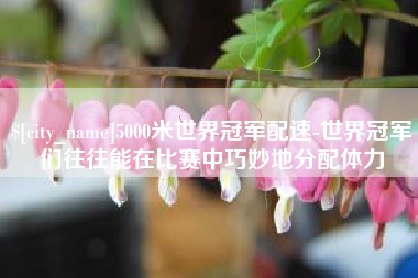 孝昌5000米世界冠军配速-世界冠军们往往能在比赛中巧妙地分配体力