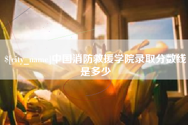 孝昌中国消防救援学院录取分数线是多少