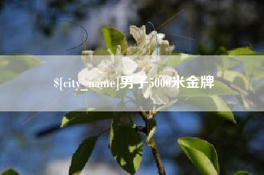 孝昌男子5000米金牌