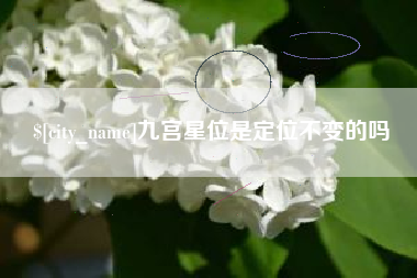 孝昌九宫星位是定位不变的吗