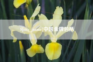 孝昌中国金牌包括