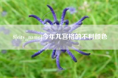 孝昌今年九宫格的不利颜色