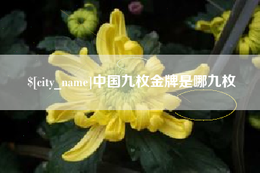 孝昌中国九枚金牌是哪九枚