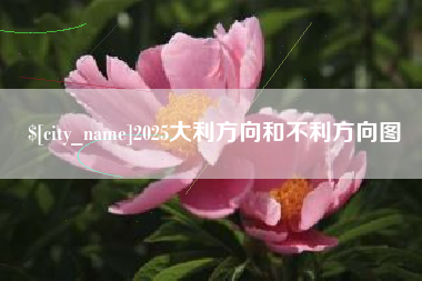 孝昌2025大利方向和不利方向图
