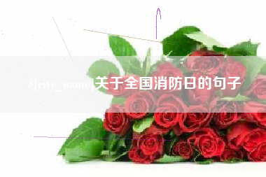 孝昌关于全国消防日的句子