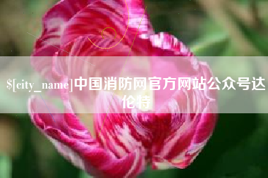 孝昌中国消防网官方网站公众号达伦特