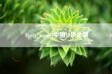 孝昌中国19块金牌