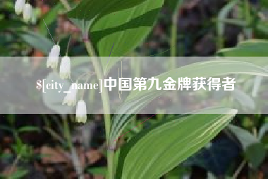 孝昌中国第九金牌获得者