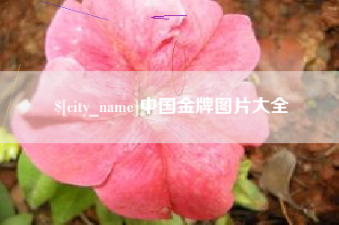 孝昌中国金牌图片大全