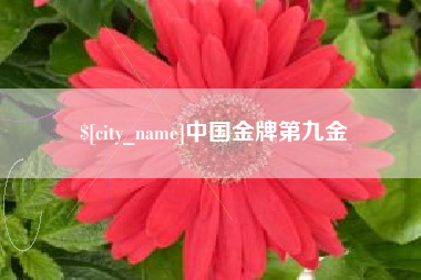 孝昌中国金牌第九金
