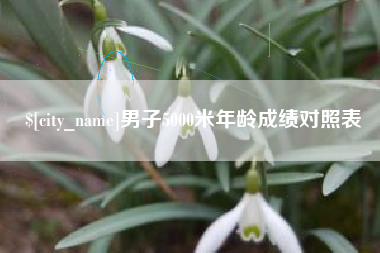 孝昌男子5000米年龄成绩对照表