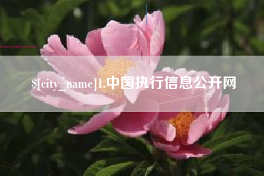 孝昌1.中国执行信息公开网