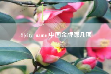 孝昌中国金牌哪几项