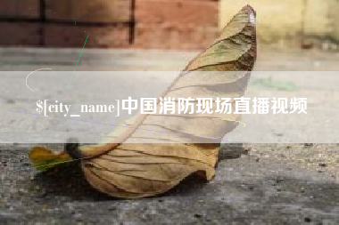 孝昌中国消防现场直播视频