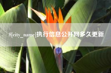 孝昌执行信息公开网多久更新