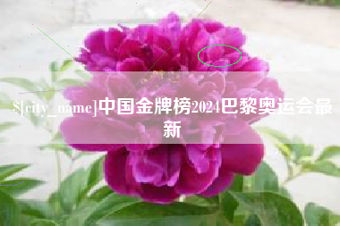 孝昌中国金牌榜2024巴黎奥运会最新