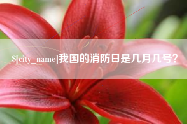 孝昌我国的消防日是几月几号？