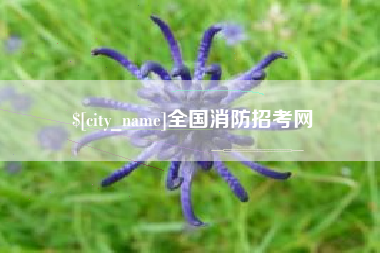孝昌全国消防招考网