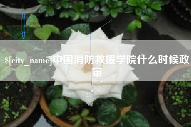 孝昌中国消防救援学院什么时候政审