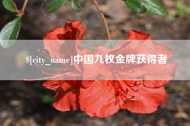 孝昌中国九枚金牌获得者